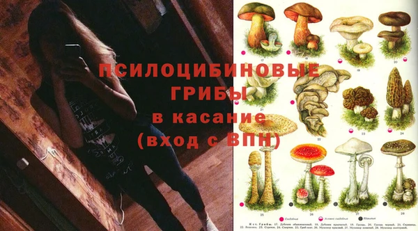 бутират Инсар
