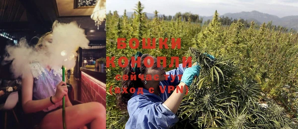бутират Инсар