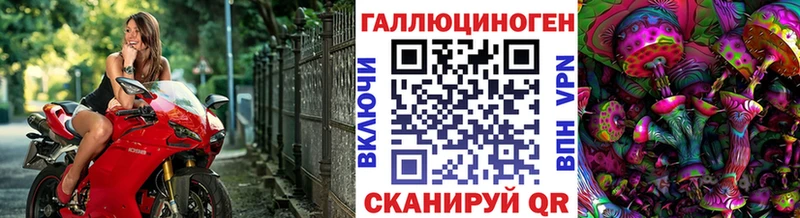 Купить закладки  Переславль-Залесский  Псилоцибиновые грибы мицелий 